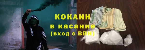 сатива Балахна