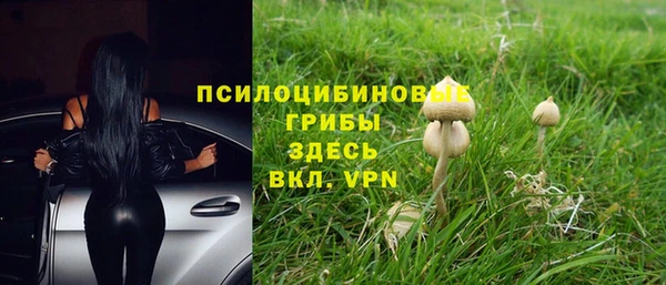 шишки Балабаново