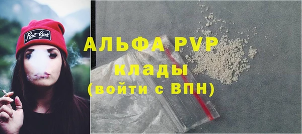 сатива Балахна