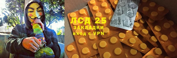 сатива Балахна