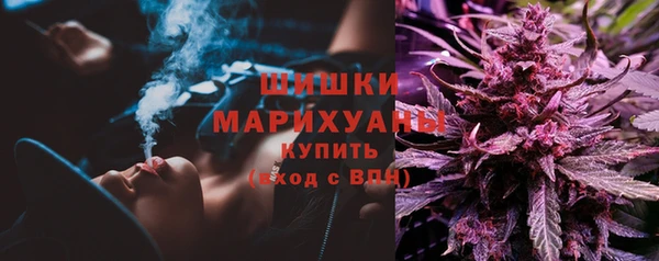 сатива Балахна