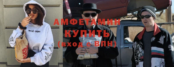 сатива Балахна